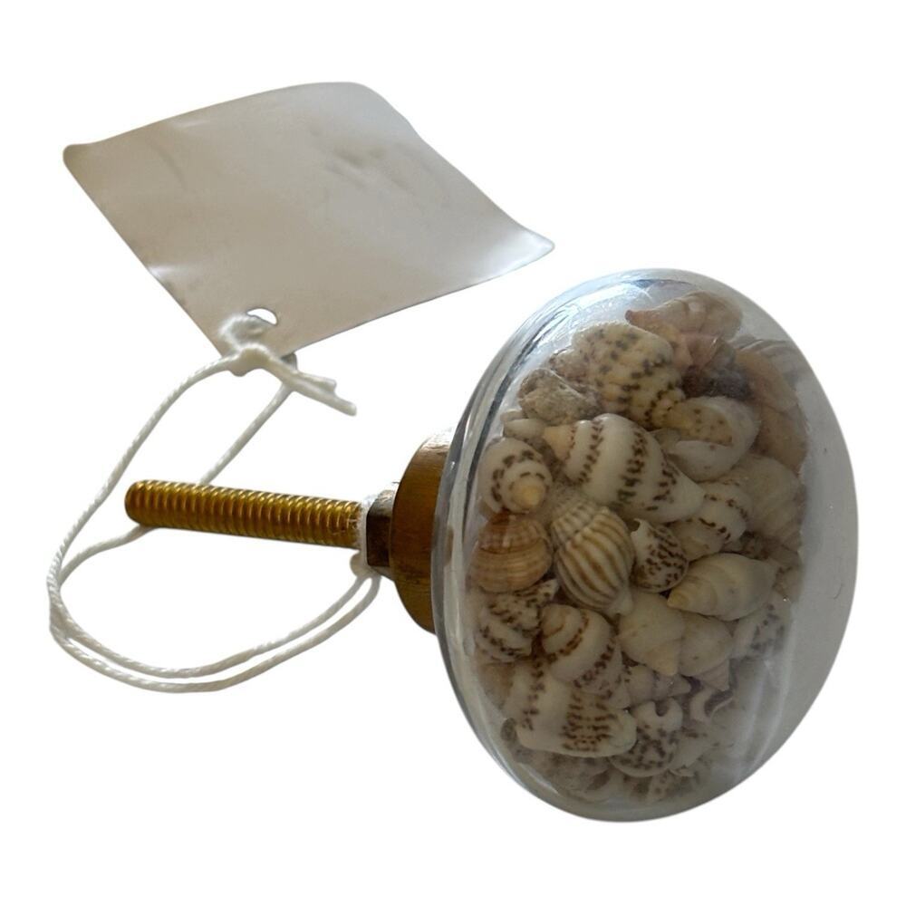 1 Live Seashell Filled Glass Drawer Pull Knob Cabinet Handle Gold Beach Decor
